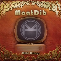 moatdib_wild_strings_up_for_artel